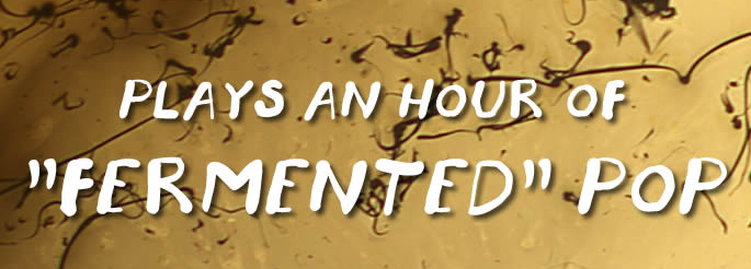 Fermented Pop! What’s that when it’s at&nbsp;home?*